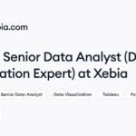 Remote Senior Data Analyst (Data Visualization Expert) Job at Xebia | Himalayas