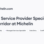 Remote Service Provider Specialist – M4 Corridor Job at Michelin | Himalayas