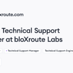 Remote Technical Support Manager Job at bloXroute Labs | Himalayas